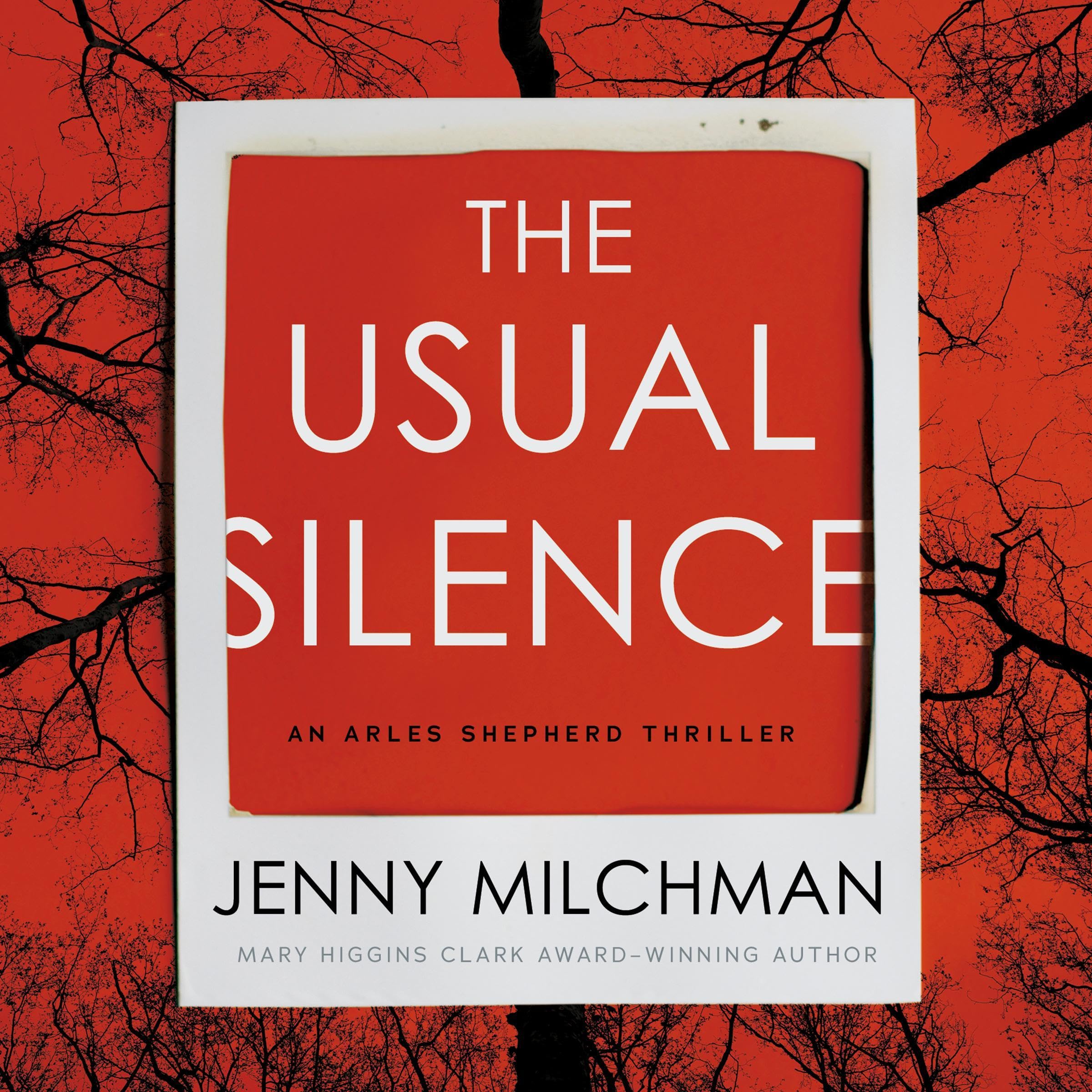 Cover art for The Usual Silence