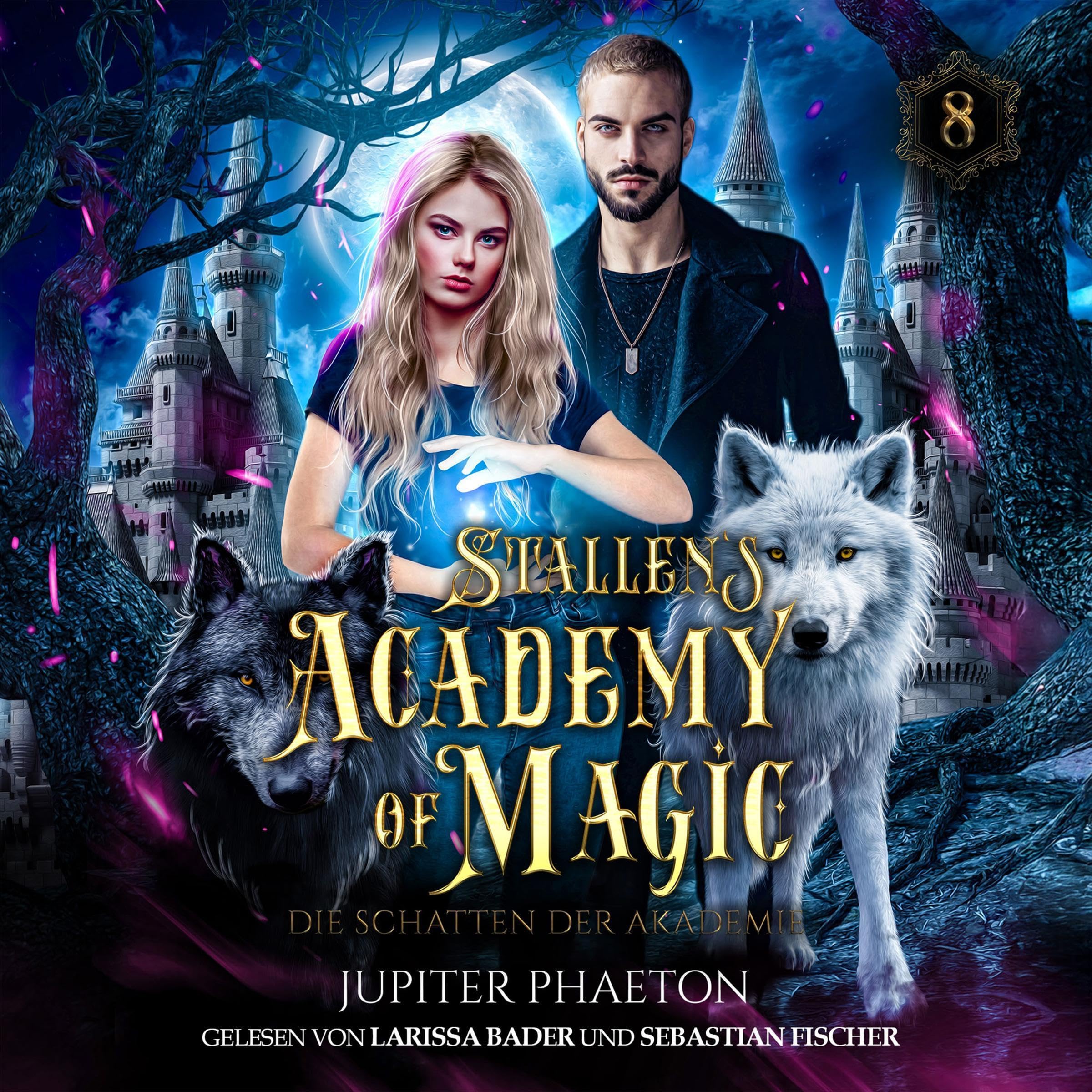 Cover art for Die Schatten der Akademie