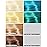 Good Dye Young Semi-Permanent Hair Color, Vegan and Cruelty-Free Blue Hair Dye, Last up to 24 Washes, Non-Damaging Conditioning Hair Color (5FL OZ, Narwhal)