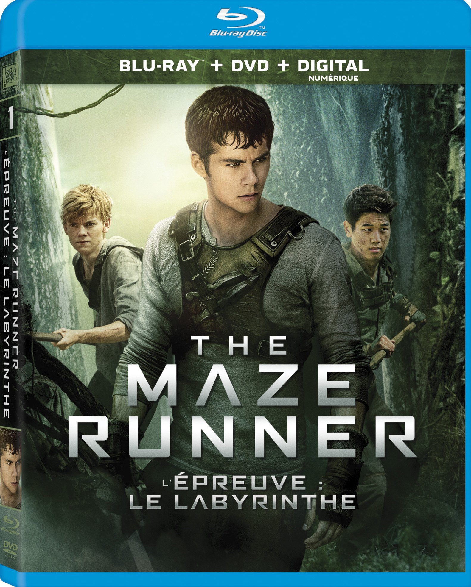 The Maze Runner (2014) Full Movie Download in English & Hindi Dubbed