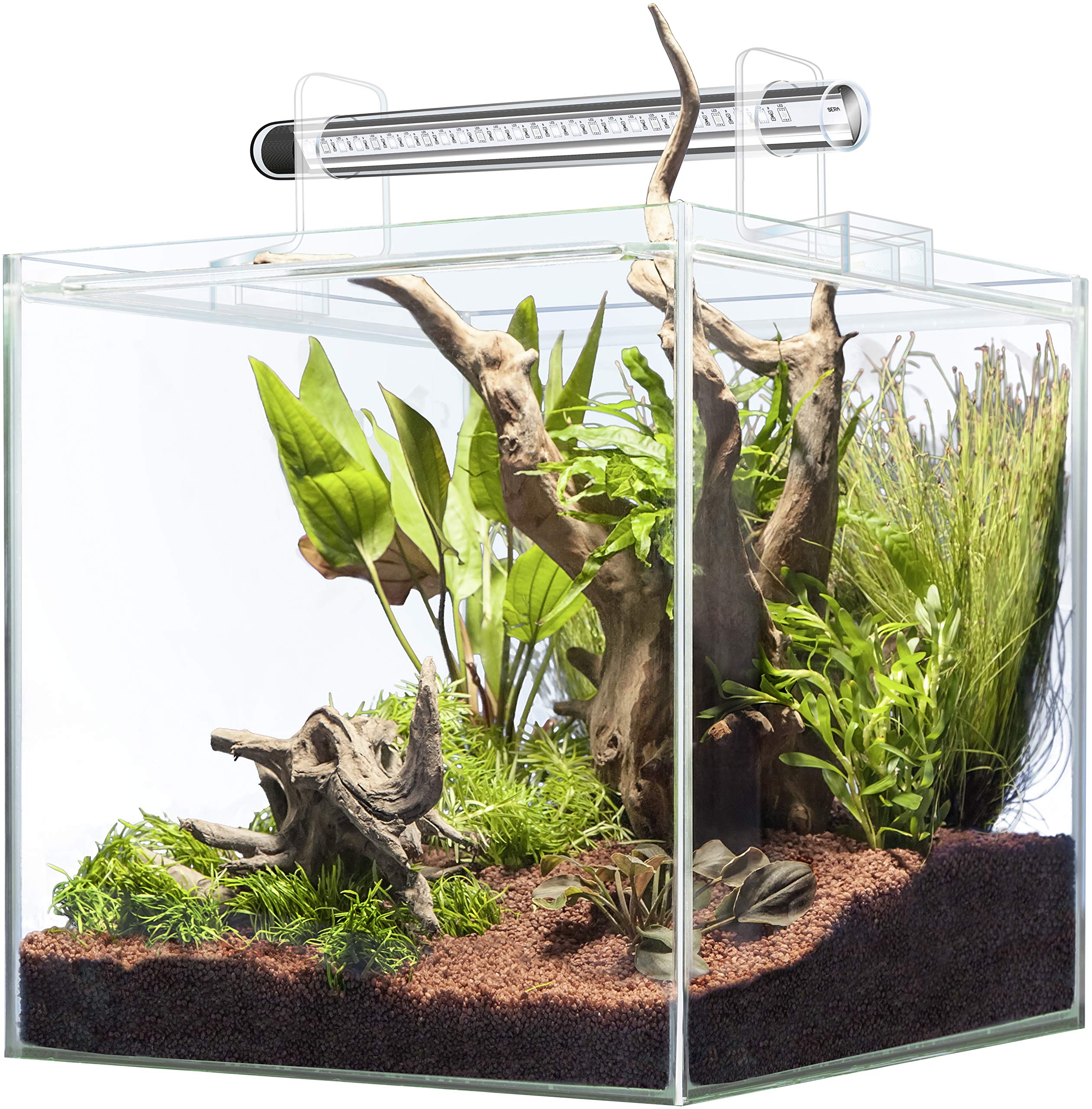 sera Scaper Cube 64 L Starterset - Kompaktes Aquarium (64 l) als Komplettset mit Innenfilter und LED-Beleuchtung