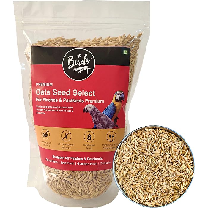 Buy The Birds Company Premium Oats Seed Select, Fortified with Spirulina & Cuttlefish Bone, Bird