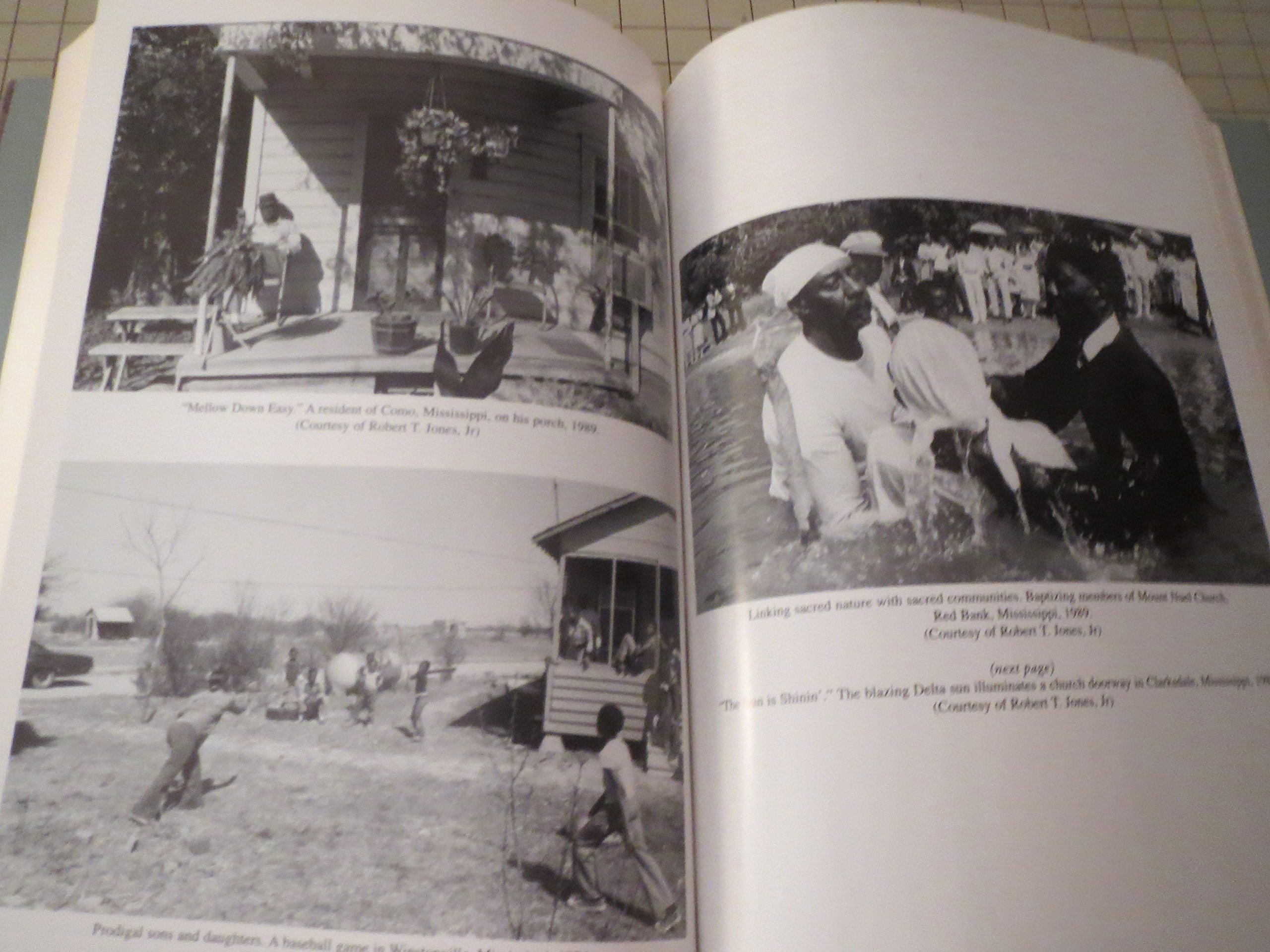 Development Arrested: The Blues and Plantation Power in the Mississippi Delta (Haymarket)
