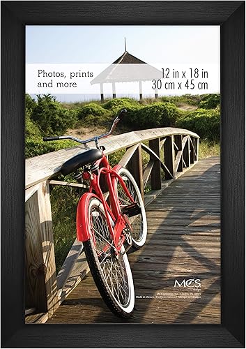 MCS - Marco estilo museo para póster, ónix, 12 x 18 pulgadas, individual