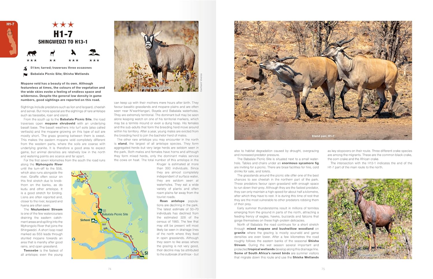Kruger Self-Drive: Second Edition: Routes, Roads & Ratings