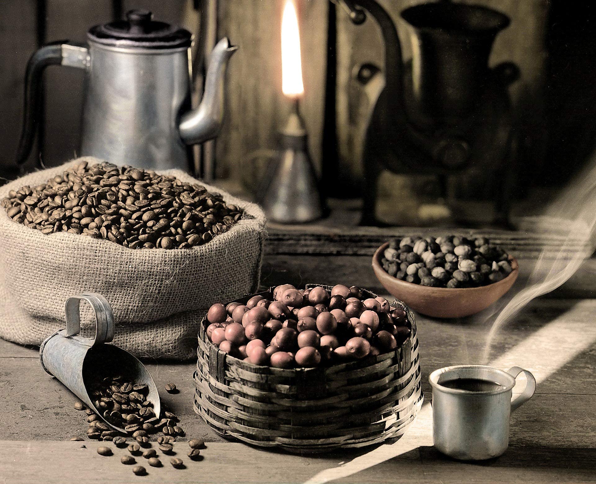 C&T "Ragnarök Coffee" nordischer Röst-kaffee | 6000g ganze Bohne | als Espresso & Cafe Crema trinkbar | kräftig + würzig + aromatisch | 100% natürlich mit Koffein