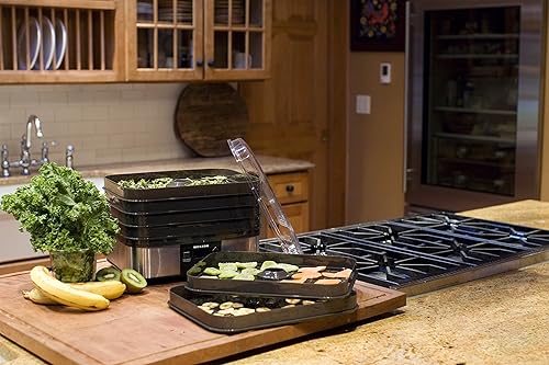 Miniatura 2 de Weston 75-0401-W - Deshidratador digital (6 bandejas), color plateado