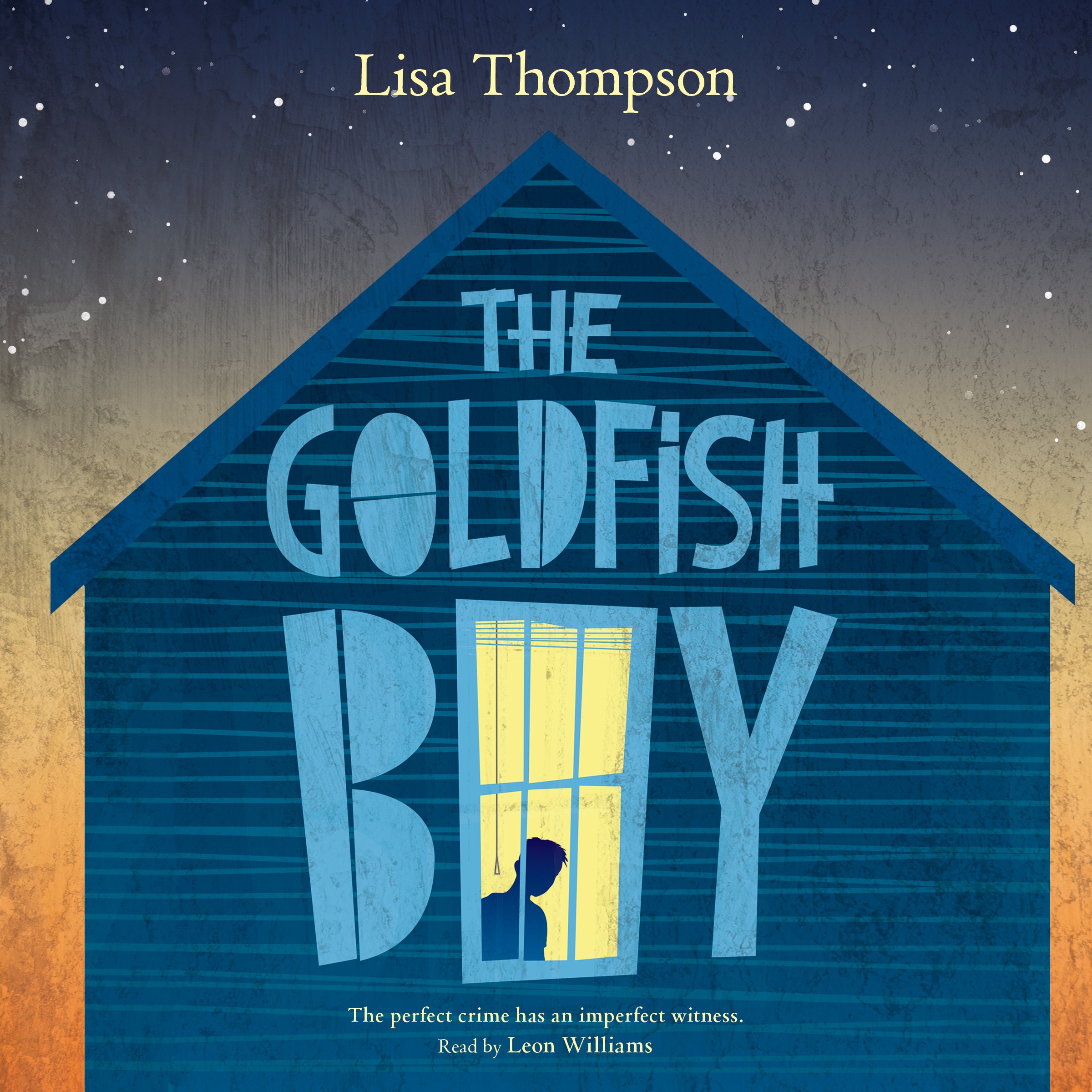 Cover art for The Goldfish Boy