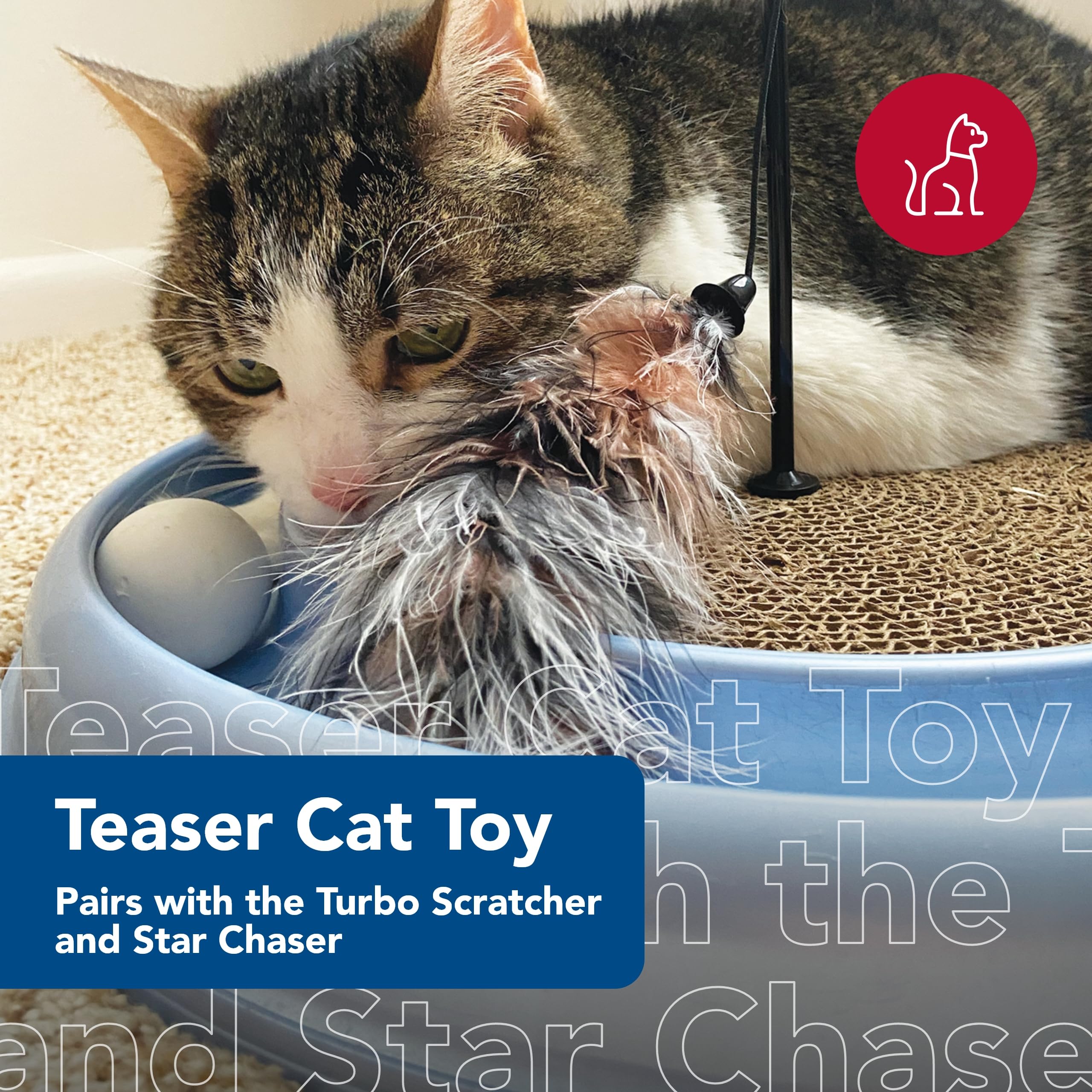 tough dog toys DuraForce - 3-Way Tug