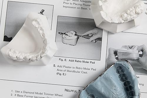 Miniatura 7 de Modelo de estudio de ortodoncia dental Formadores de base