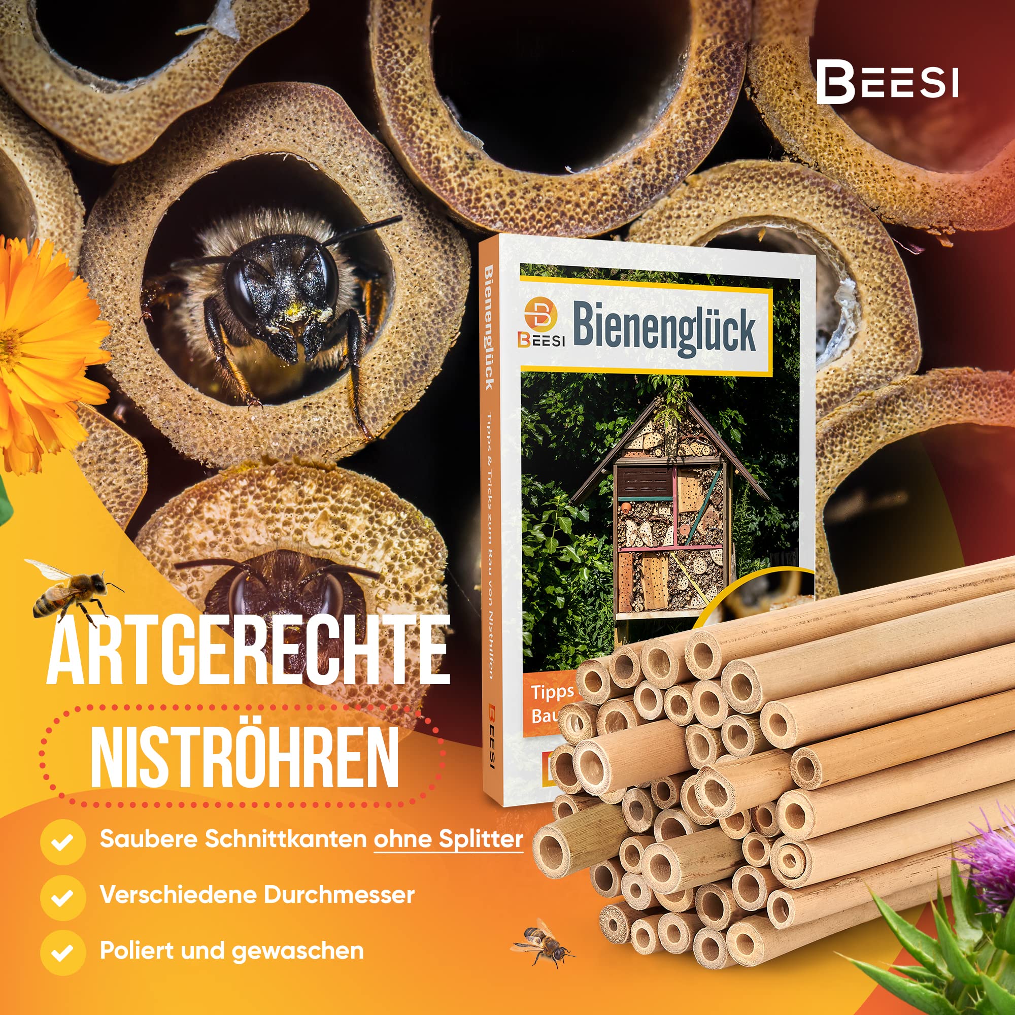 BEESI Bambusrhrchen fr Insektenhotel I 14 cm Lnge I Bambus fr  Bienenhotel I Fllmaterial Wildbienen Zubehr (Bambus - Stck, 300) :  Amazon.de: Garten