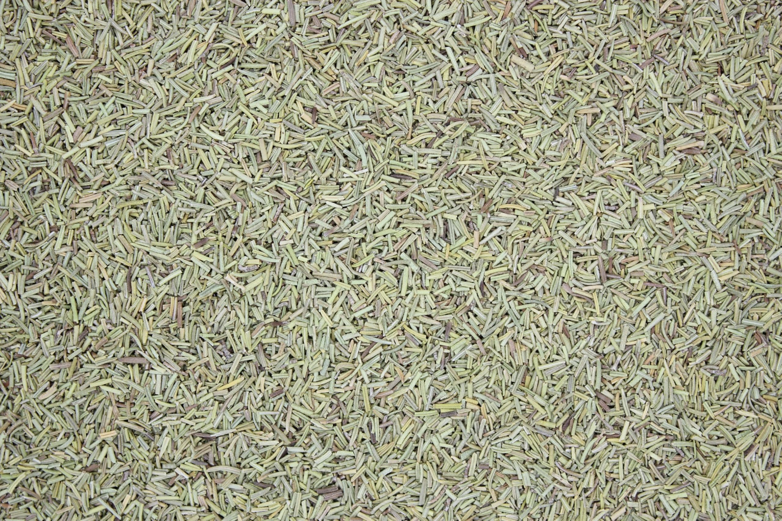 1000Kräuter Rosmarin getrocknet und geschnitten als Tee und als Küchenkräuter Rosmarinus officinalis Rosemary cut (2000g)
