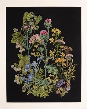 Thea Gouverneur - Counted Cross Stitch Kit - Herb Panel - Aida Black - 18 Count - Embroidery Kit for Adults - DMC Embroidery Threads and Other Cross Stitch Supplies Included - 424.05