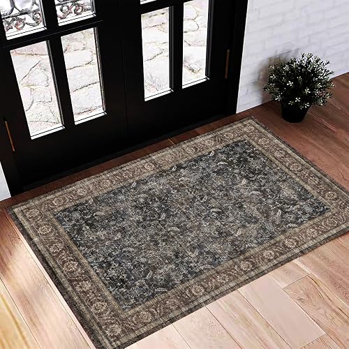 CHAMPLANT Washable Area Rug 2'x3' Door Mat Vintage Distressed Doormat Indoor Entrance Traditional Thin Rug Floral Print Non Slip Carpet for Kitchen Bathroom Bedroom Living Room