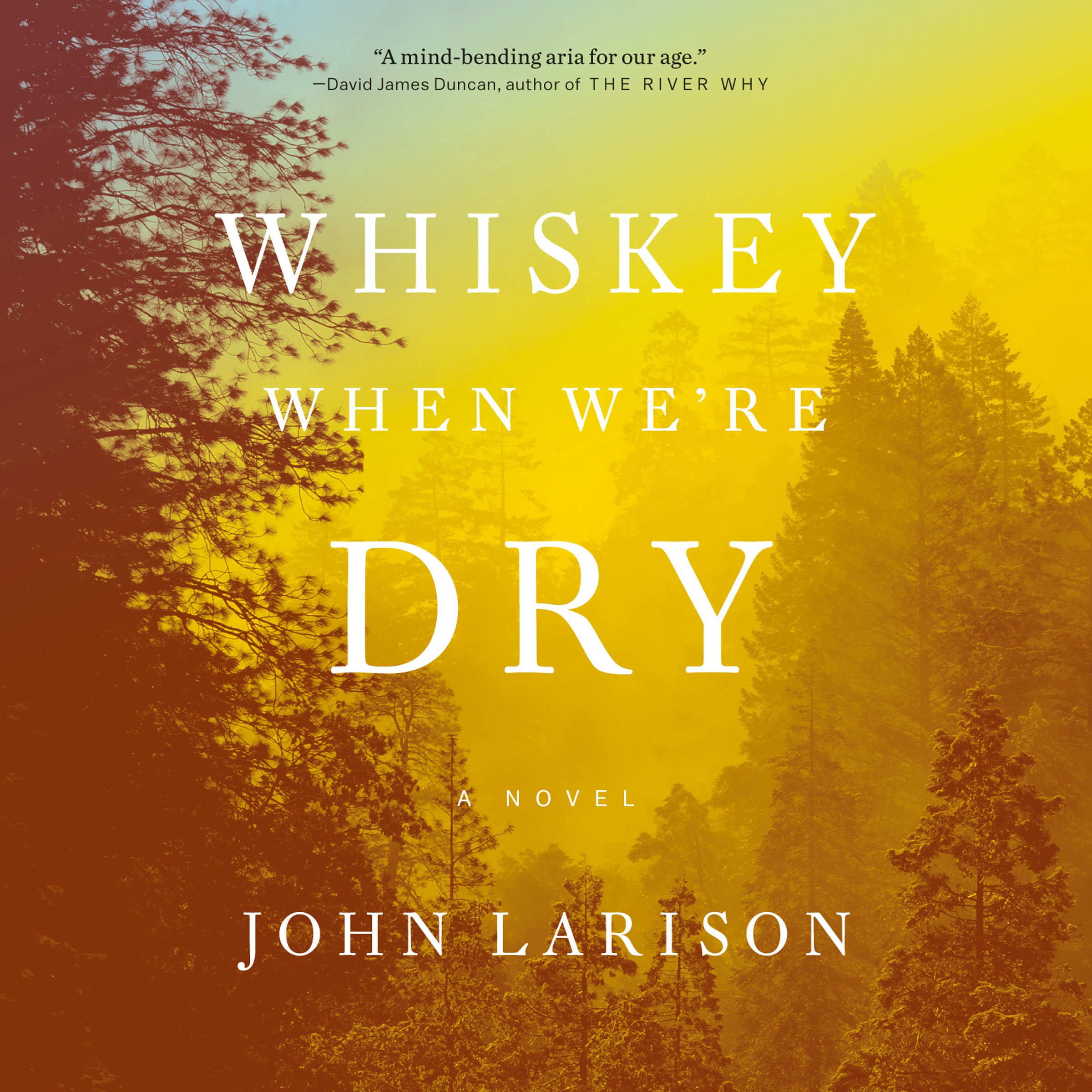Cover art for Whiskey When We're Dry