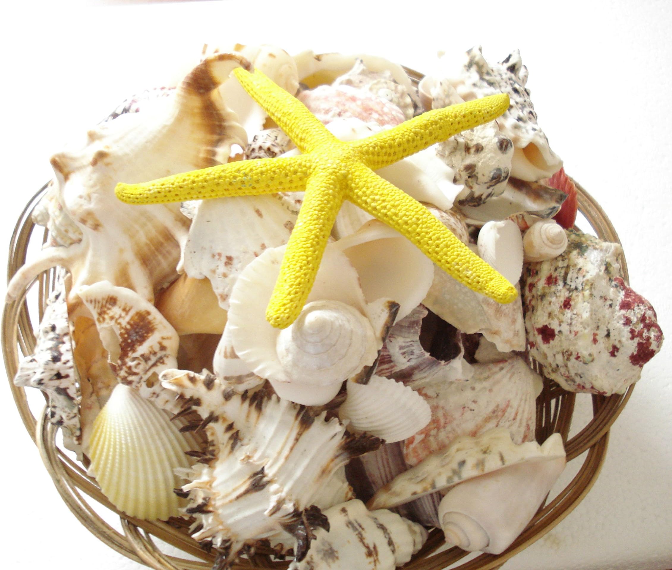 Newest [2018 SUPERHUMAN CHIP] Bark Collar with Smart Detection Module - Best Dog Shock, Beep Anti-Barking Collar. No Bark Control for Small/Medium/Large Dogs - Stop Barking Safe Humane