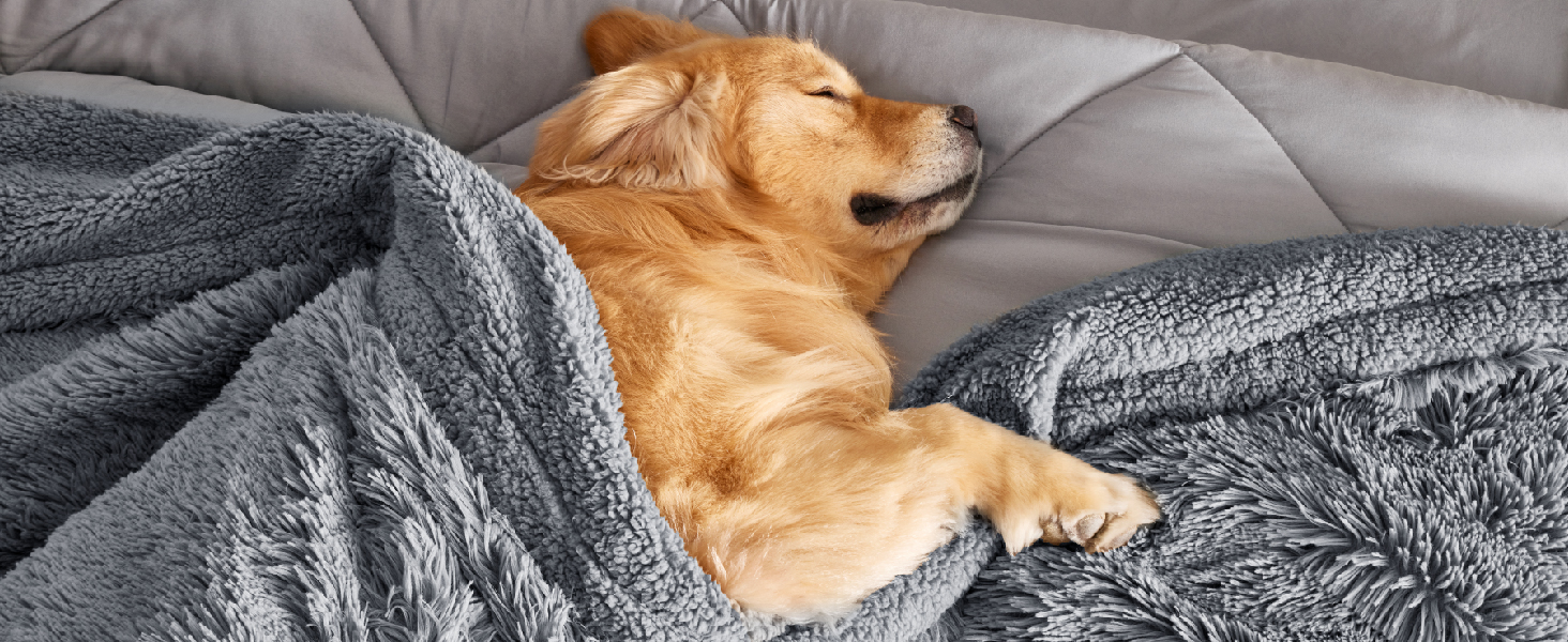 Wasserdichte Hundedecke 76x178 Cm – Sofa-Schutz Für Große Hunde & Katzen, Waschbar, Grau