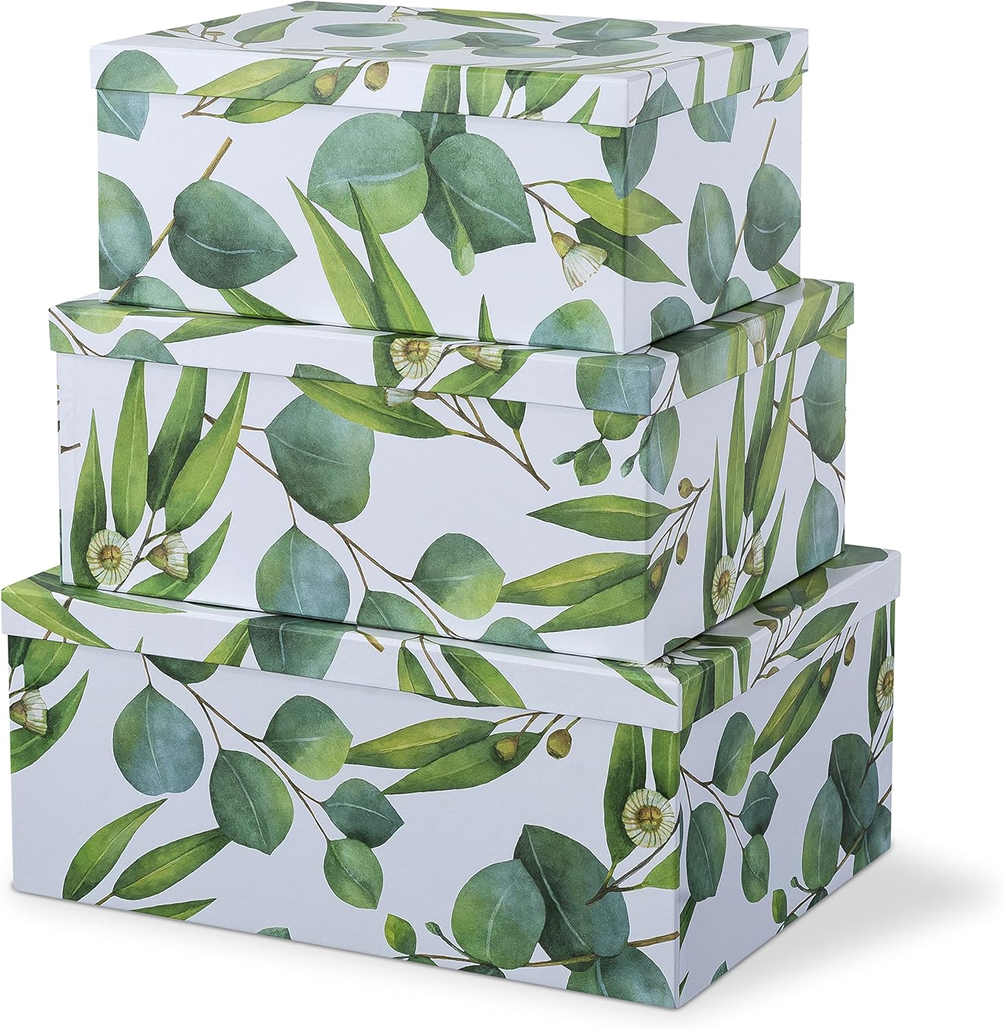 Soul & Lane Decorative Cardboard Boxes With Lids For Home Décor