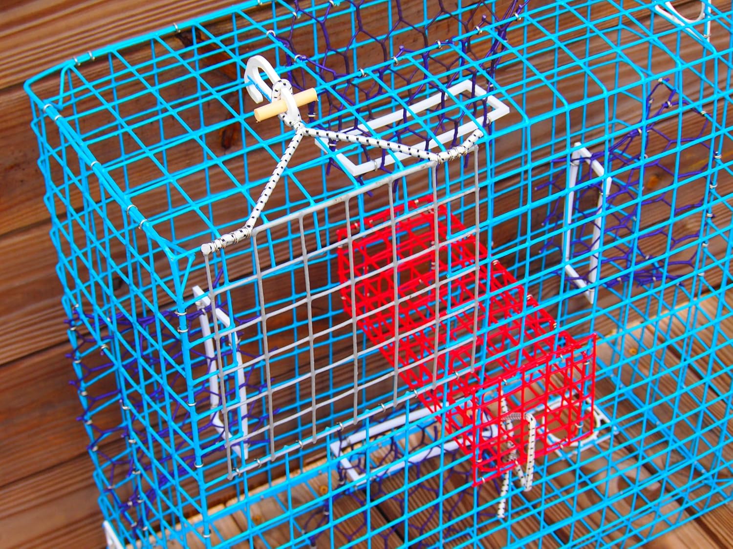 Maryland Blue Crab Pot – Recreational Saltwater Crab Pot Fishing Gear – PVC Coated Wire – Multiple Sizes with Optional Buoy Kit