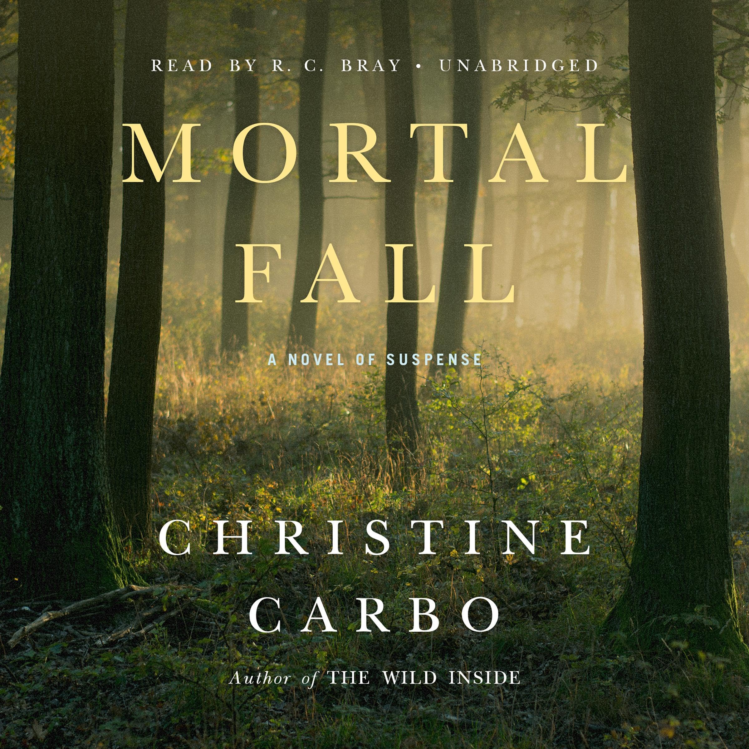 Cover art for Mortal Fall