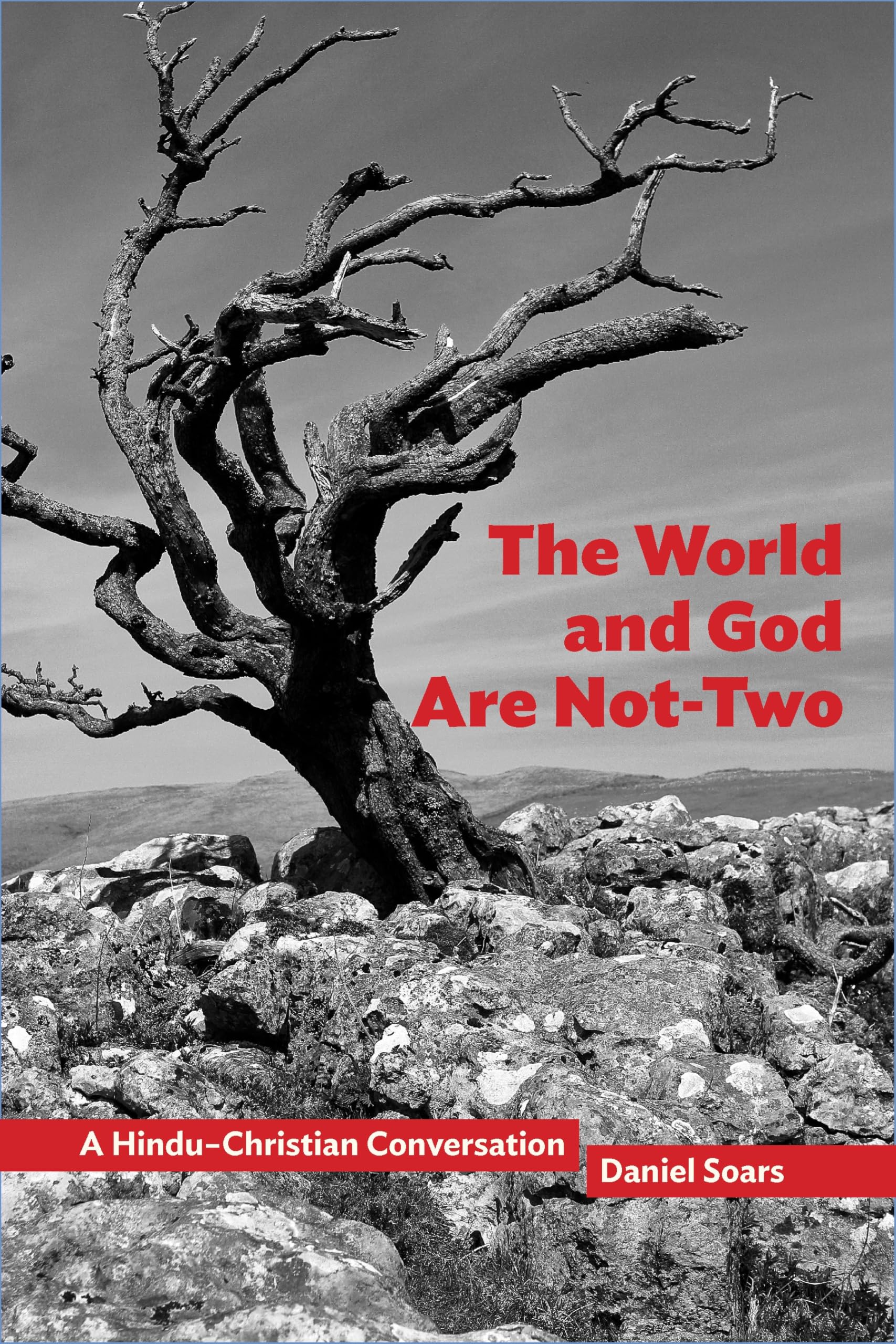 The World and God Are Not-Two: A Hindu–Christian Conversation: 10 (Comparative Theology: Thinking Across Traditions)