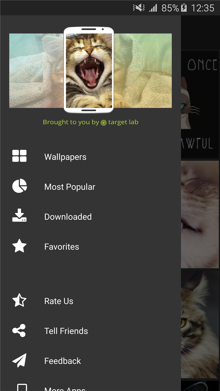 Cute Cat Wallpapers HD - App on Amazon Appstore