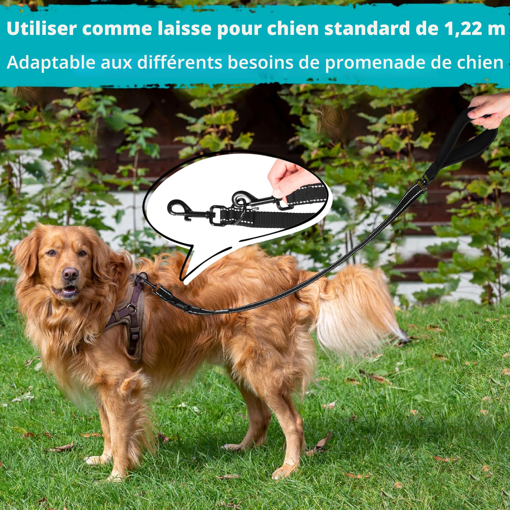PetBonus Laisse Anti-Traction pour Chien, Double Laisse Anti-Traction réfléchissant, pour l'entraînement et la Marche, pour Chiens de Grande Taille et Moyenne (Noir)