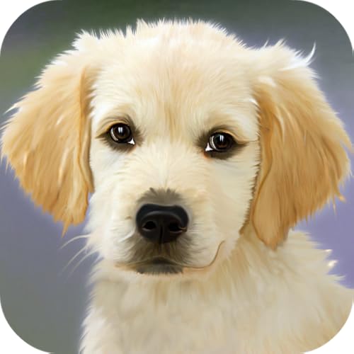 Puppy Wallpapers