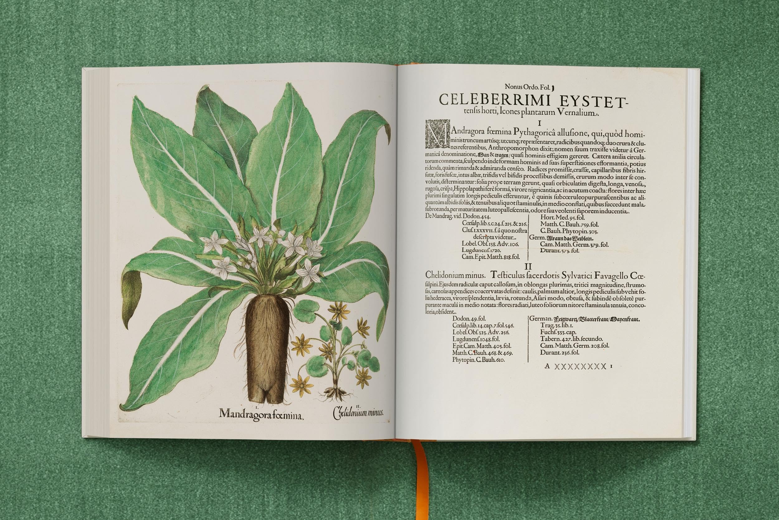 Basilius Besler: The Garden at Eichstätt: 1-3