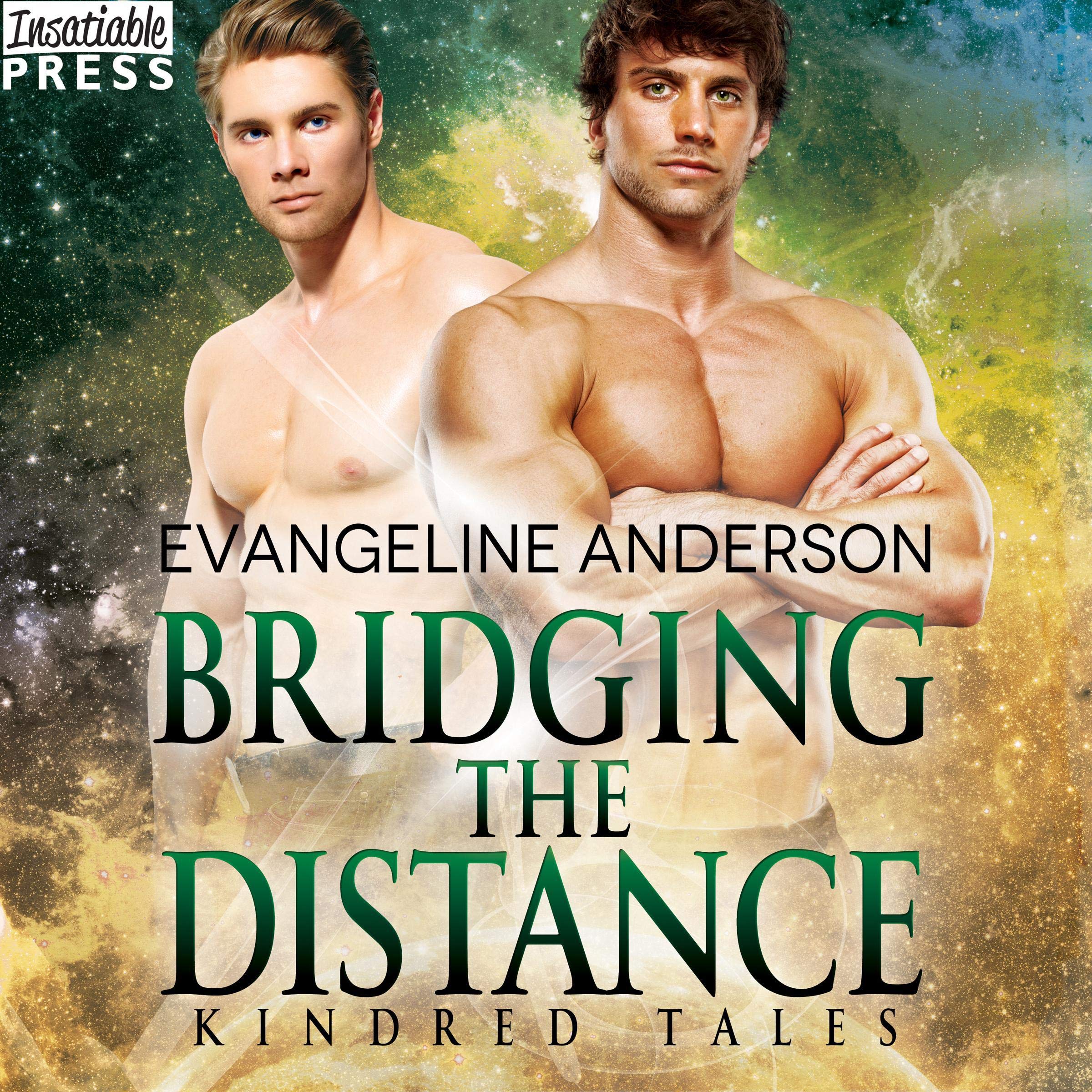 Cover art for Bridging the Distance