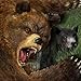 Life Of Bear