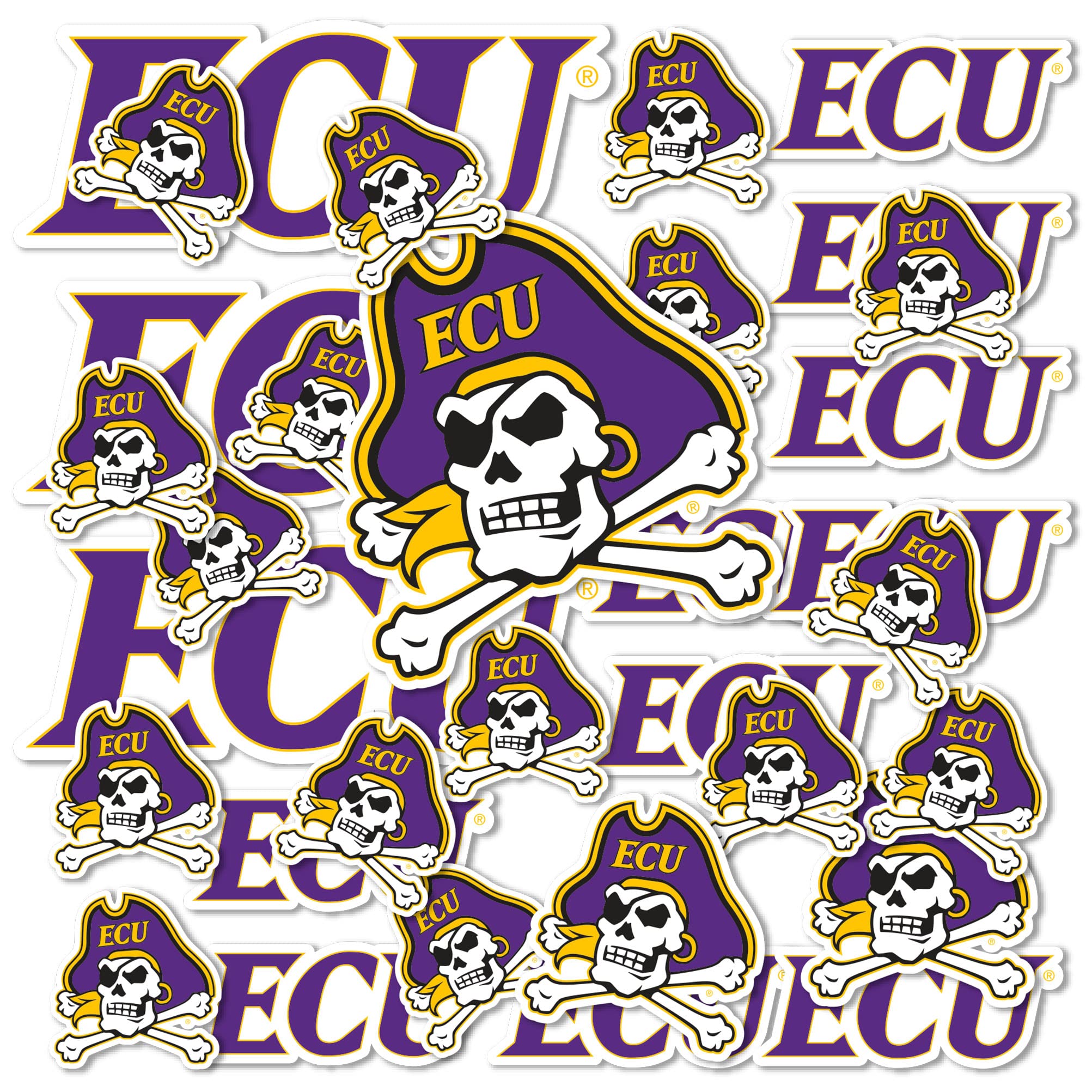 Desert Cactus East Carolina University Sticker Pirates ECU Vinyl Decals Laptop Water Bottle Car Scrapbook Sheet T1 (Type 1-1)