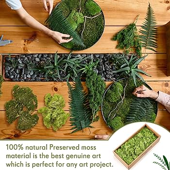 Amazon | Fabbay 18オンス トナカイコケ 工芸用 0.97平方フィート 人工