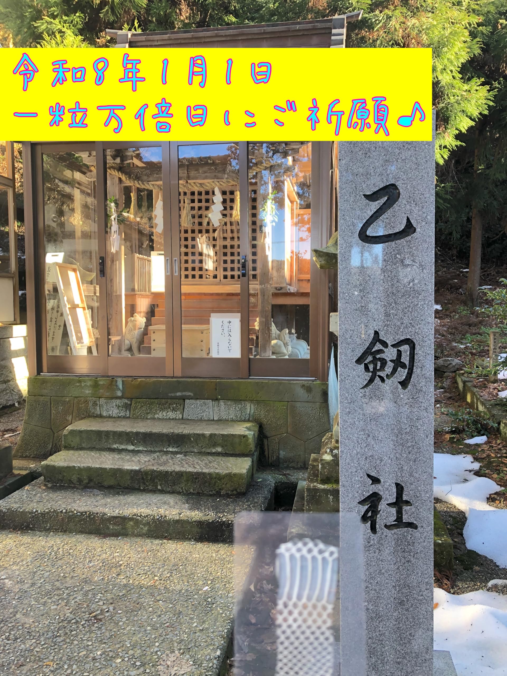 Amazon.co.jp: 笑い家謹製【ご祈願！ 天然物！】白蛇の抜け殻 日本三大