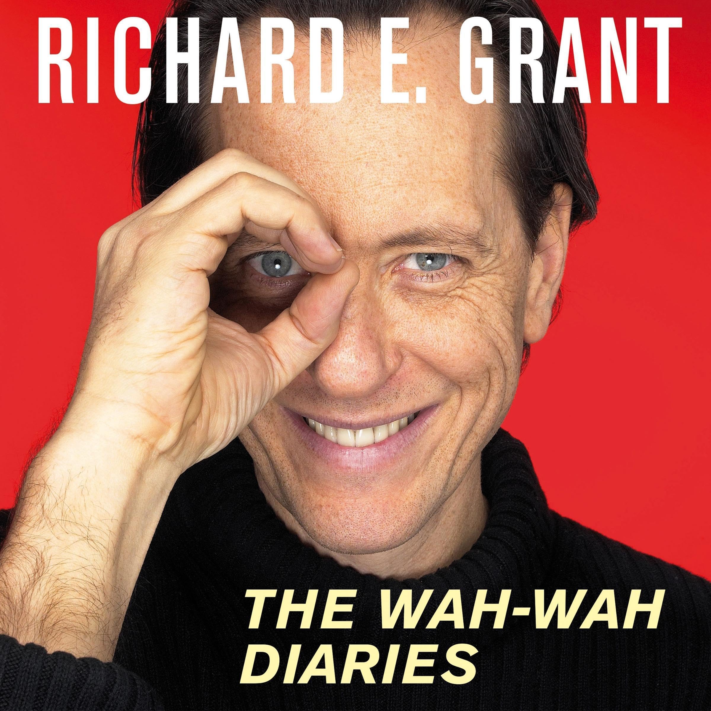 Cover art for The Wah-Wah Diaries