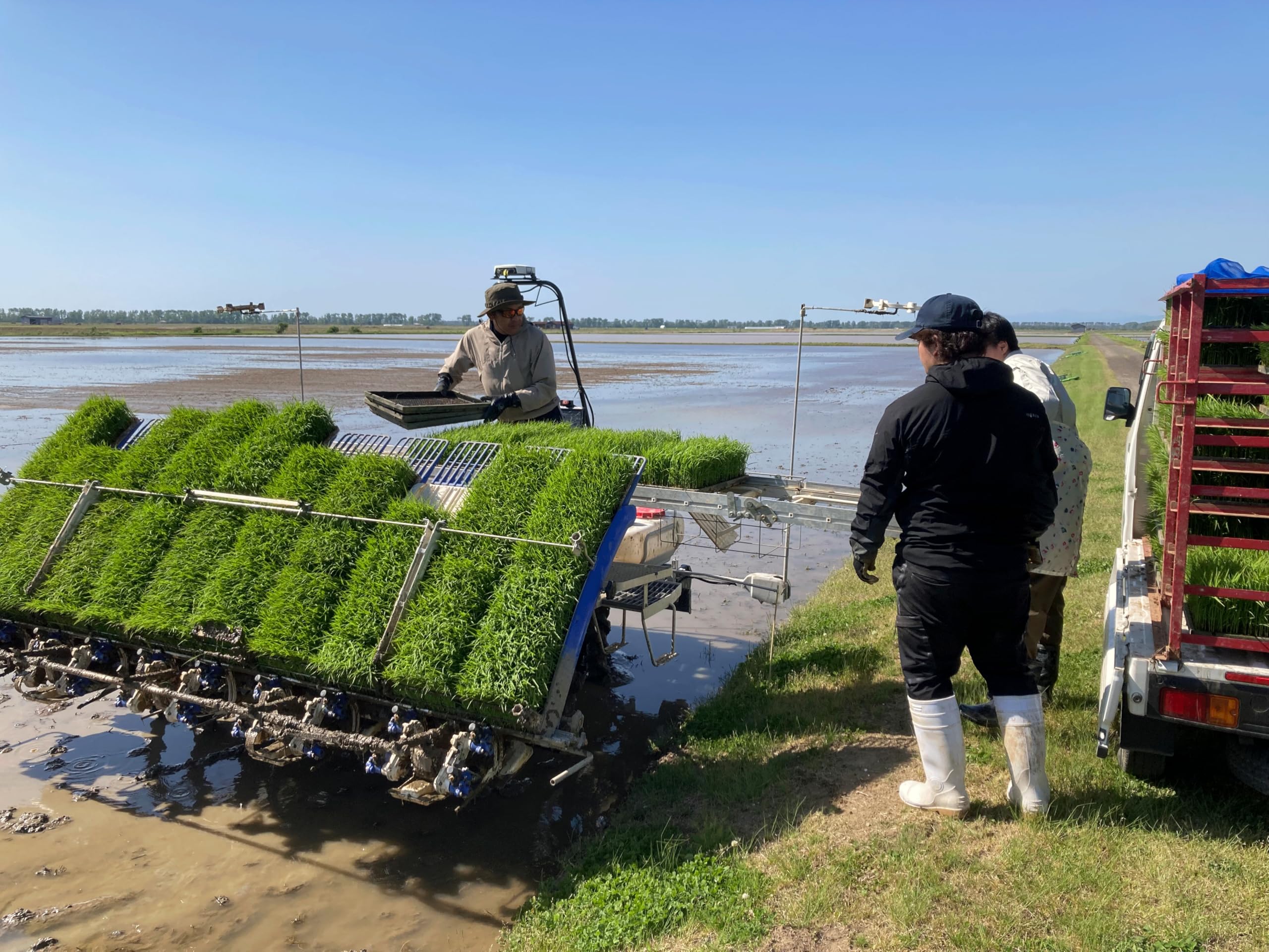 Amazon.co.jp: あきたこまち産直農場自然工房 【令和7年産 残留農薬不