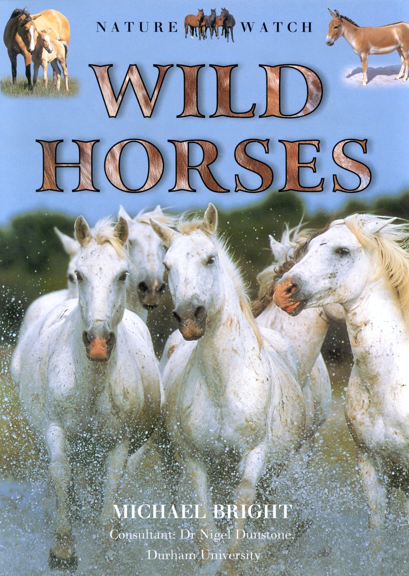 Wild Horses Julia Vogel, Mike Rowe 9781559718820 Books