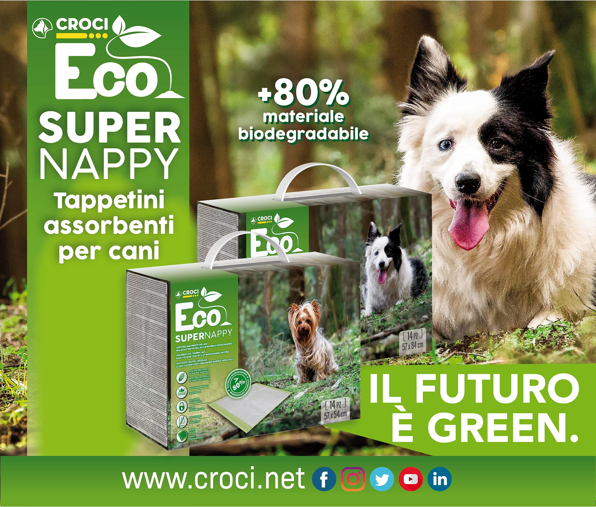 Croci