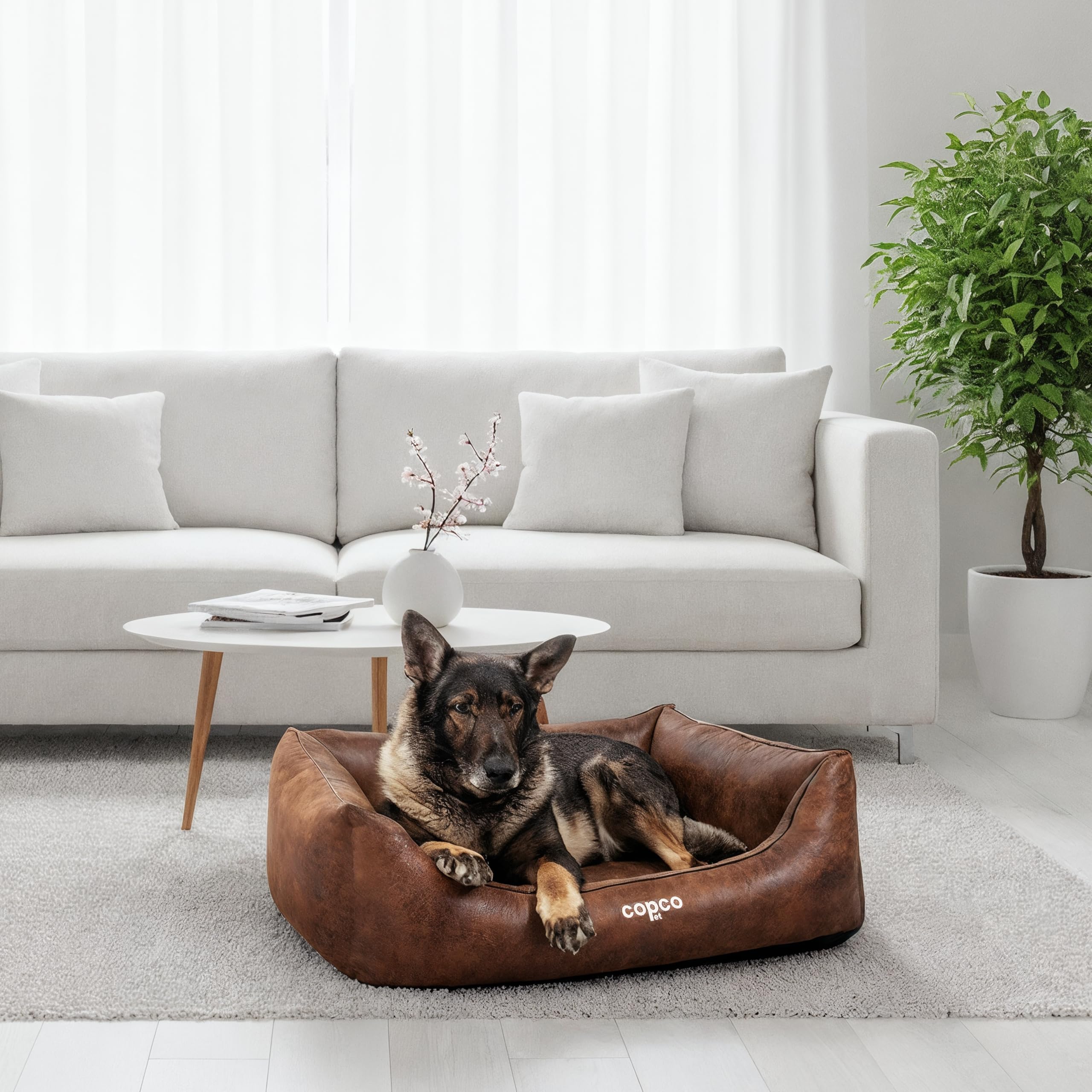 CopcoPet Cama para perros Emma ortopédica, marrón envejecido, 80 x 60 cm, aspecto de ante, lavable y fácil de limpiar, cesta elevada para perros con superficie de descanso viscoelástica, para perros