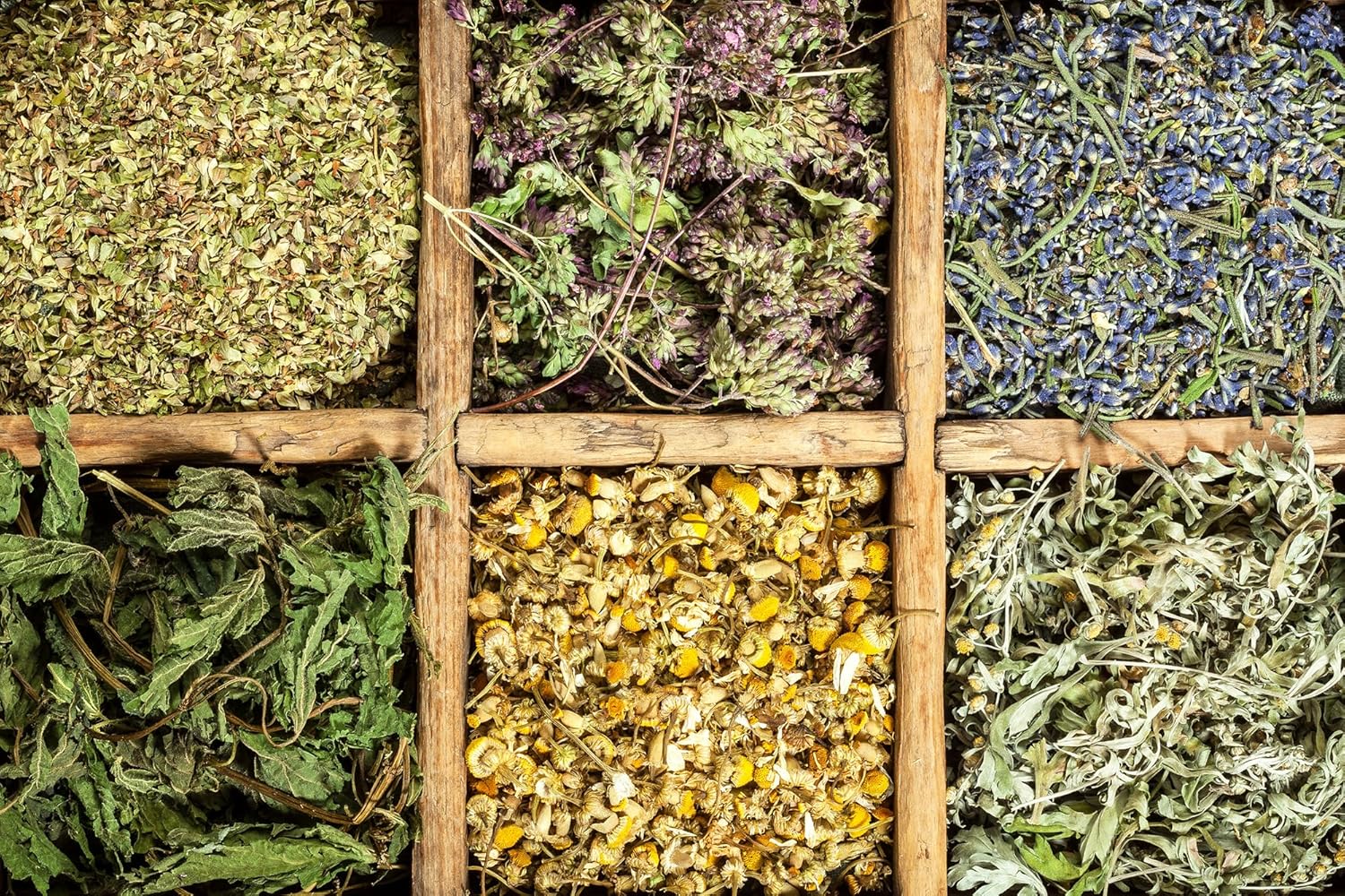 10 Silicone Non Stick Sheets fits Sedona Express Dehydrator Mat SDE-S6780-B & SDE-P6280 Drying Dehydrating Cookie Crackers Fruit Leather