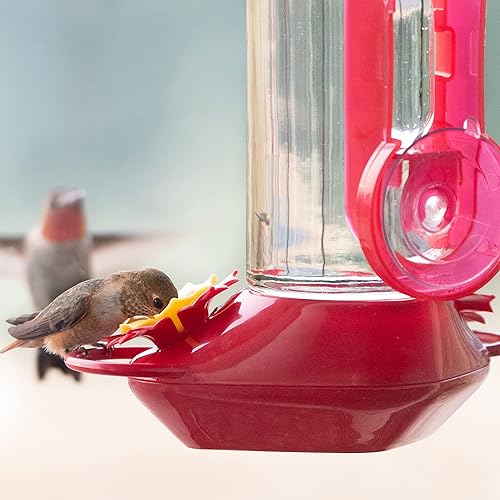 Miniatura 15 de Perky-Pet 455-2 - Comedero para colibríes con ventana de vidrio 445-2, rojo, 14 onzas