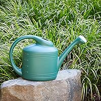 Vista 6 de Southern Patio Regadera de plástico grande de 2 galones, color verde