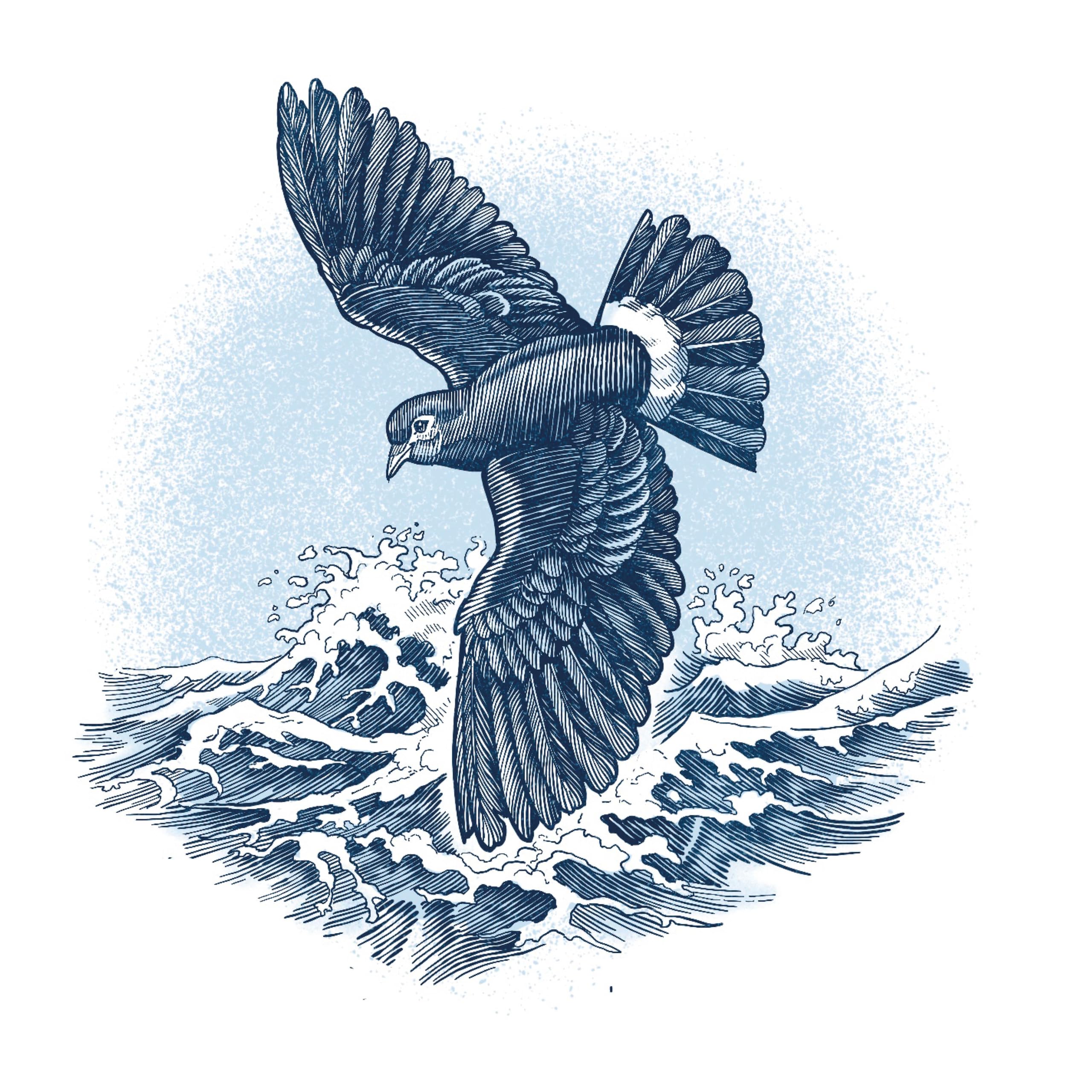 Folklore of the Sea: Myths and legends of the maritime world