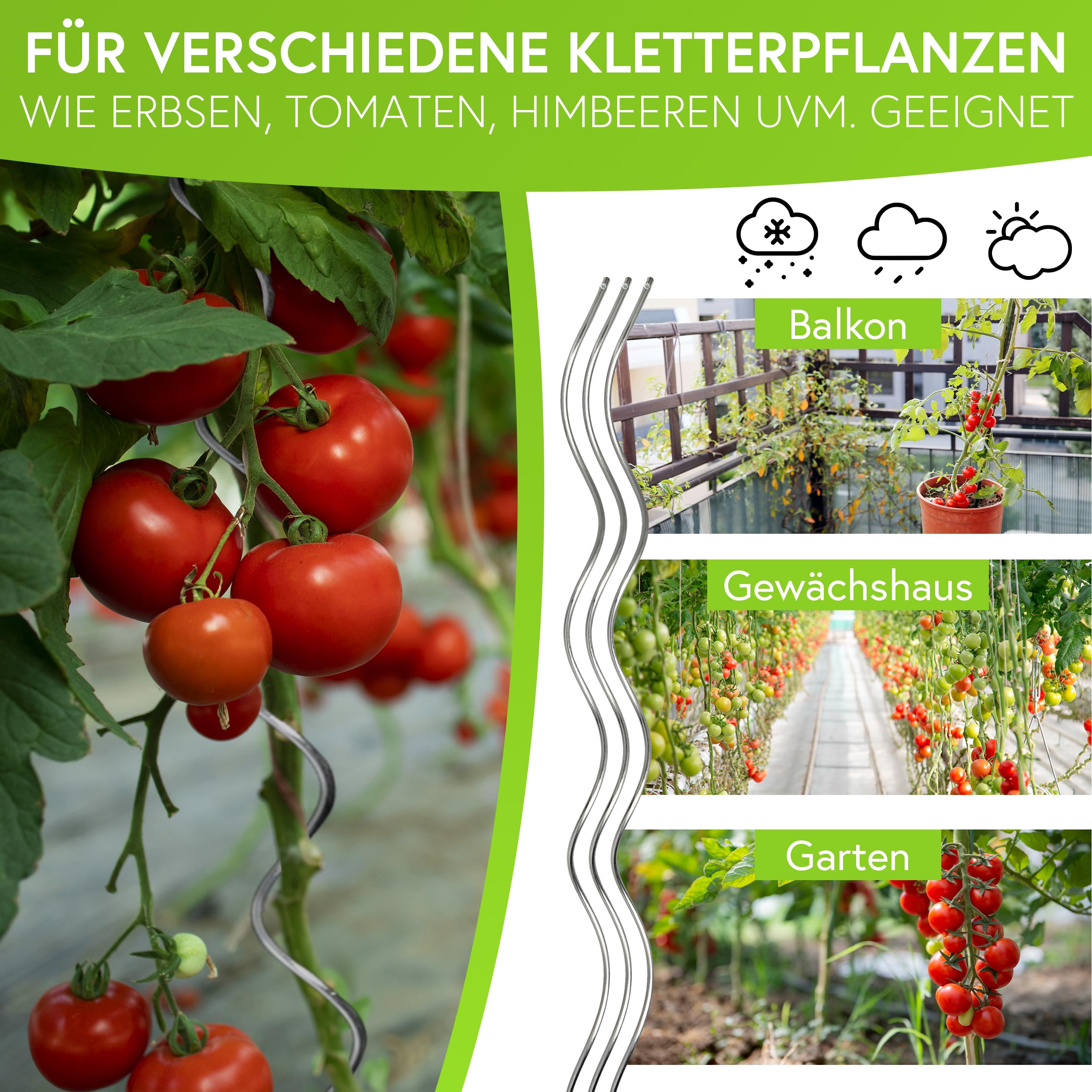 Gartenwelt Riegelsberger Spirali per pomodoro, altezza 180 cm, in acciaio, diametro 5,6 mm, 20 pezzi
