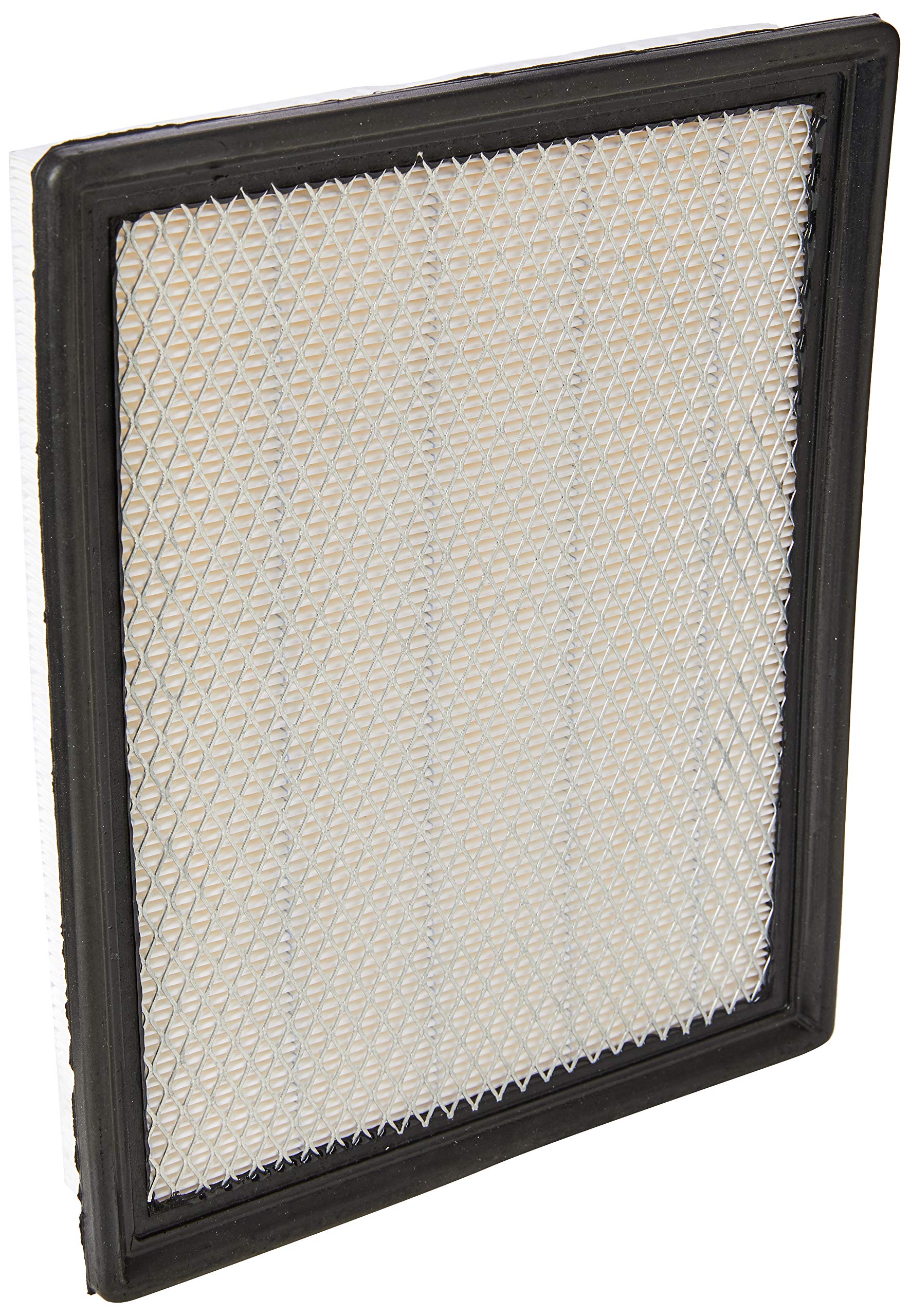 Fleetguard AF4613 Air Filter Panel