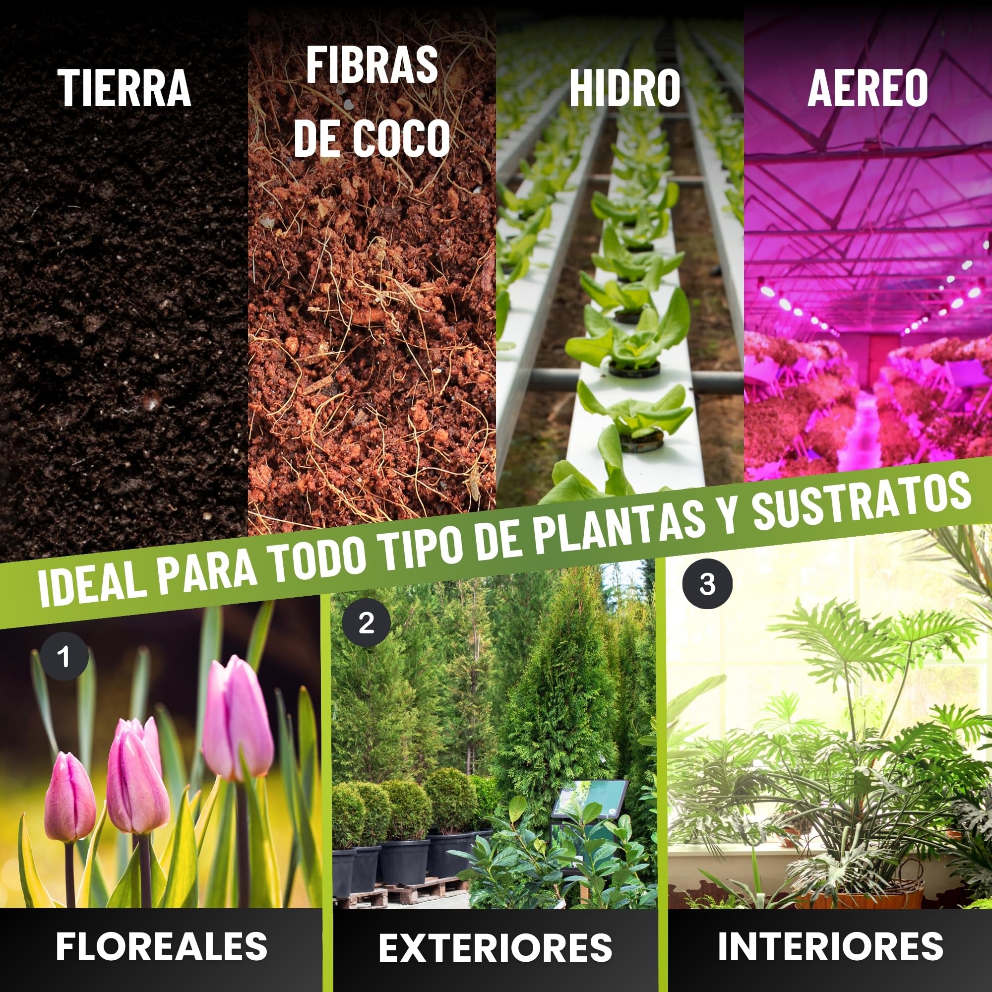MADAME GROW Growth Accelerator 1 Litro | Enraizante Orgánico y Abono Crecimiento 2 en 1 | Estimulador de Raíces Blancas | Fertilizante Crecimiento para Esquejes y Trasplantes