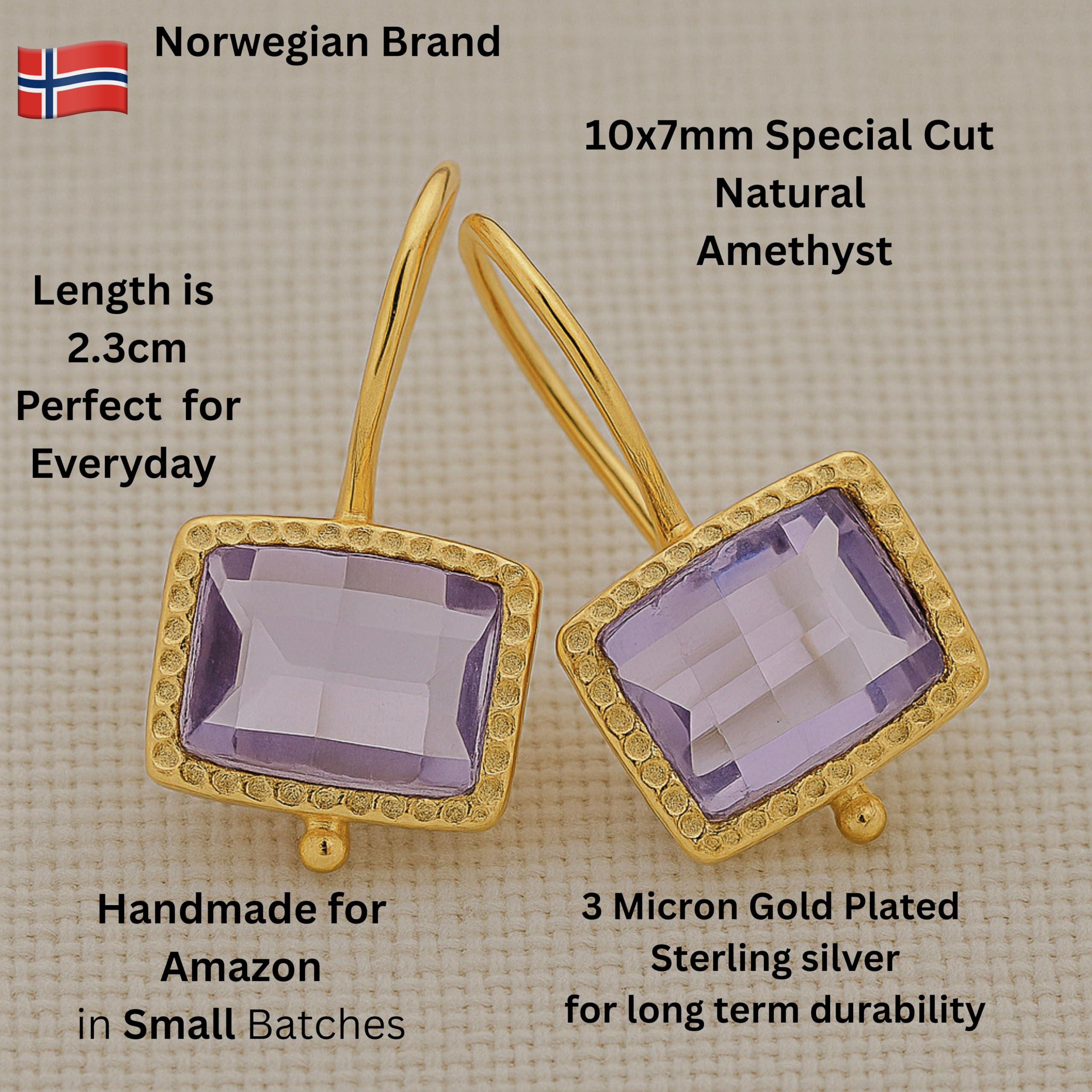 Amethyst Vergoldet 925 Silber Ohrringe | Natürlicher Edelstein - Geburtstagsgeschenk - Handgefertigte Geschenkideen für Frauen (Amethyst)