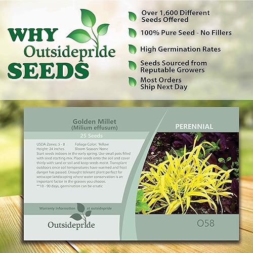 Miniatura 6 de outsidepride dorado Millet, Amarillo