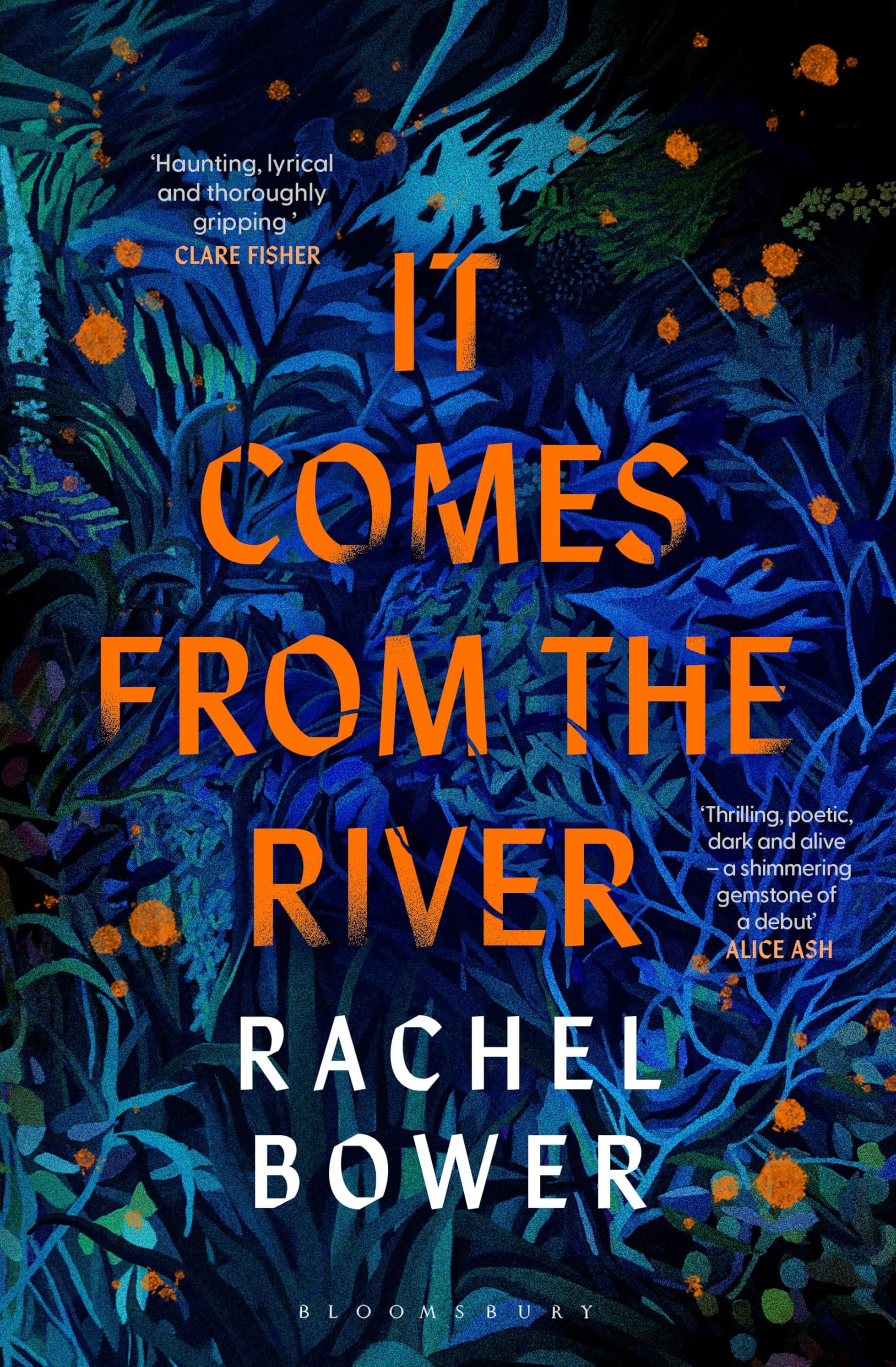 It Comes from the River by Rachel Bower - 9781526672667