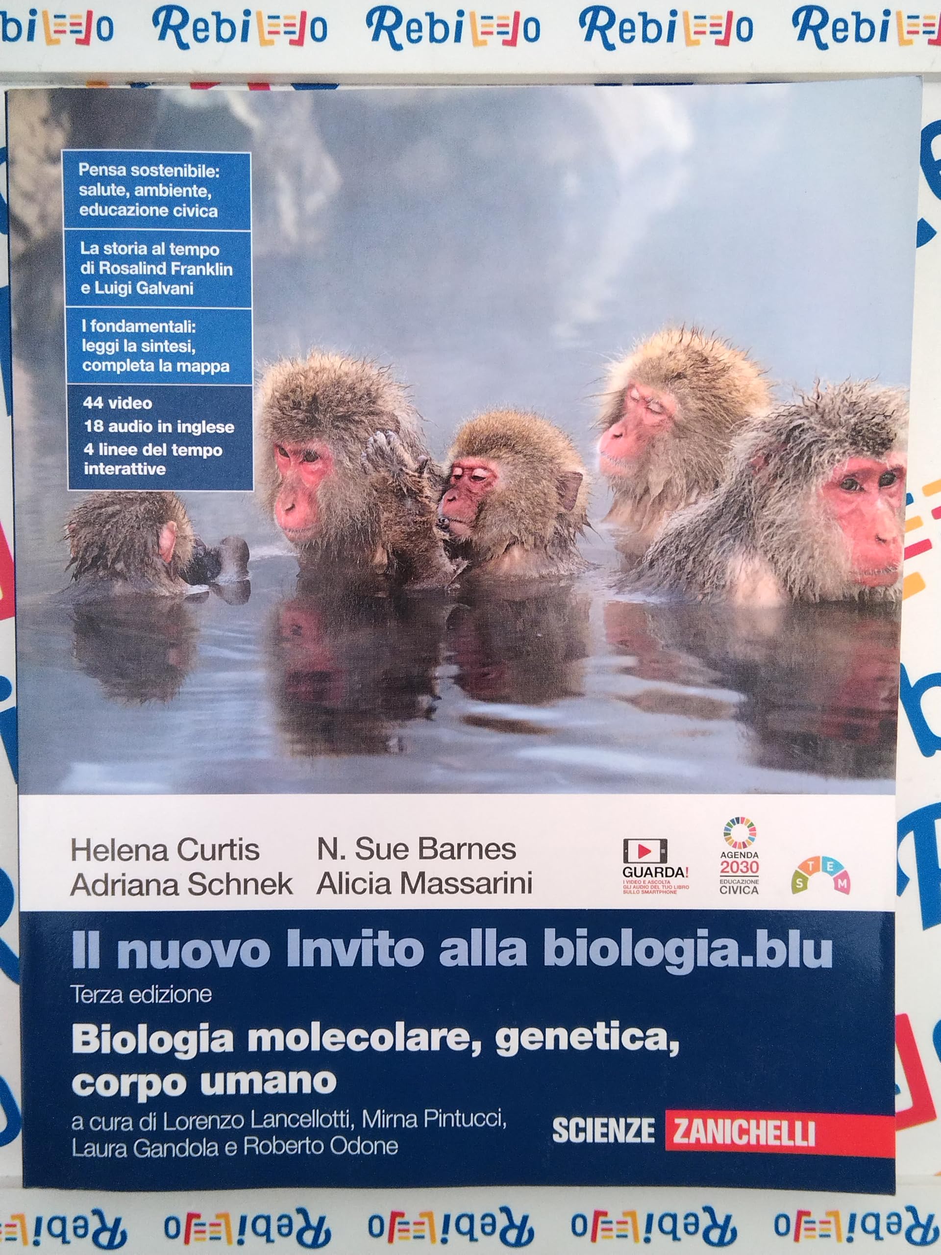 NUOVO INVITO ALLA BIOLOGIA.BLU (IL) 3ED. (LDM) - (9788808832498) + Materiali didattici – Rebillo